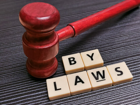 Trenton Chapter Bylaws